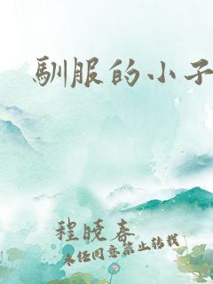 驯服的小子4