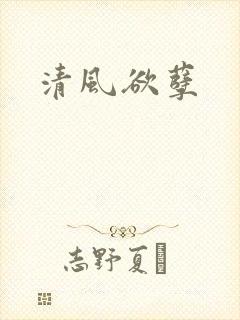 清风欲孽