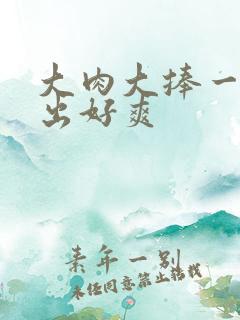 大肉大捧一进一出好爽