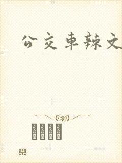 公交车辣文短篇