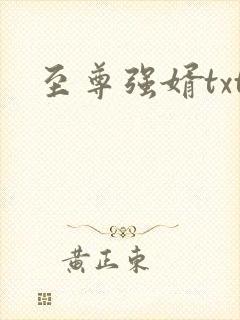 至尊强婿txt