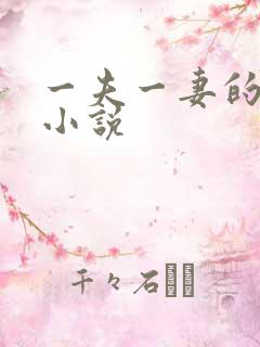 一夫一妻的玄幻小说