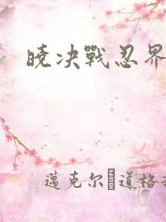 晓决战忍界3