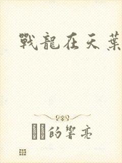 战龙在天叶凡