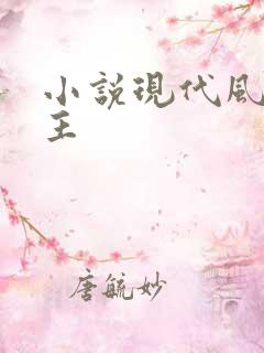 小说现代风流霸主