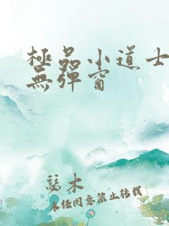 极品小道士小说无弹窗
