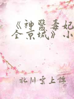 《神医毒妃燃爆全京城》小说