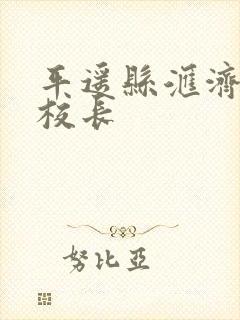 平遥县汇济小学校长