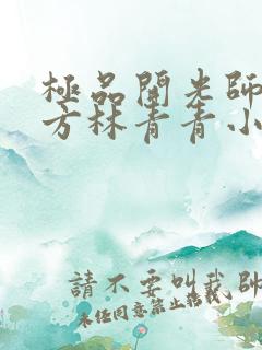 极品开光师李南方林青青小说叫