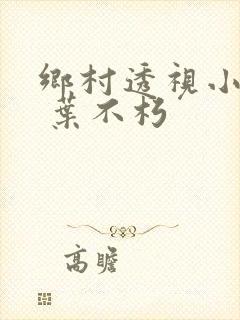 乡村透视小仙医 叶不朽