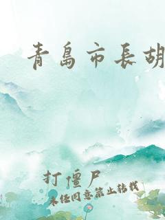 青岛市长胡学峰
