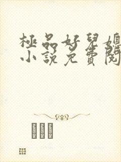 极品好儿媳苏灿小说免费阅读