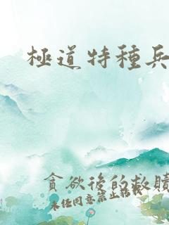 极道特种兵