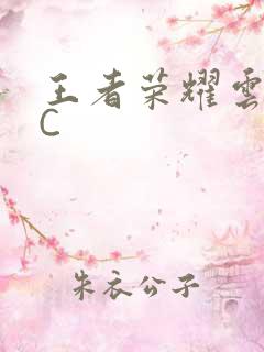 王者荣耀云缨被C