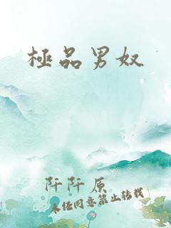 极品男奴