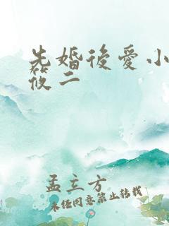 先婚后爱小说梦筱二