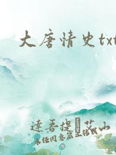 大唐情史txt