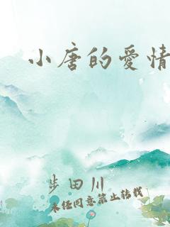 小唐的爱情史