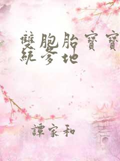 双胞胎宝宝的总统爹地