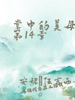 掌中的美母版主第14章
