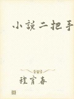 小说二把手