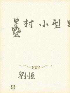 农村 小型 别墅