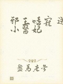 邪王嗜宠 逆天小医妃