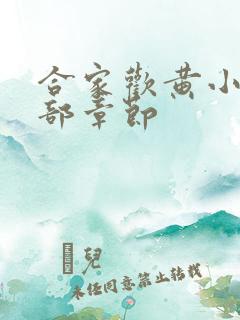 合家欢黄小梅全部章节