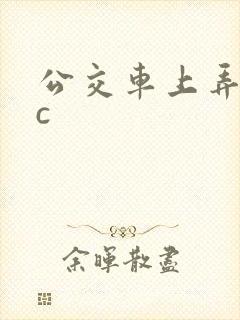公交车上弄到高c