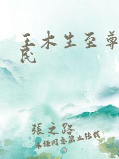 王木生至尊小农民