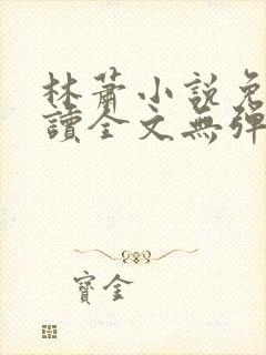 林萧小说免费阅读全文无弹窗
