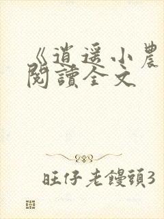 《逍遥小农夫》阅读全文