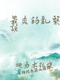 最爽的乱系列小说