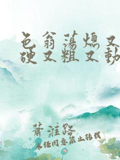 色翁荡熄又大又硬又粗又动态图