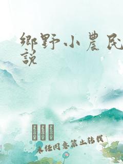 乡野小农民 小说