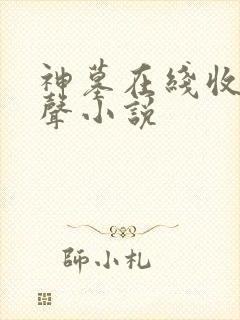 神墓在线收听有声小说