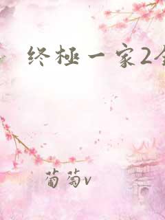 终极一家2全集