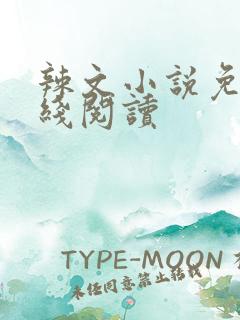 辣文小说免费在线阅读