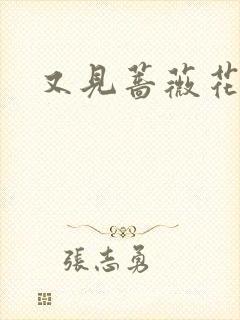 又见蔷薇花开