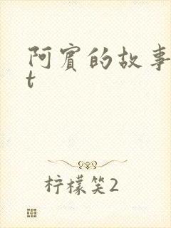 阿宾的故事txt