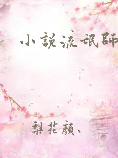 小说流氓师表