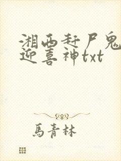 湘西赶尸鬼事之迎喜神txt