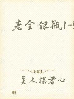 老金银瓶1-5