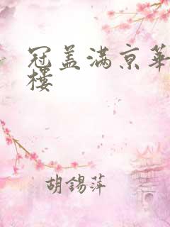 冠盖满京华19楼