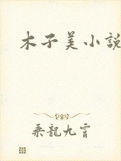 木子美小说