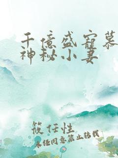 千亿盛宠慕少的神秘小妻