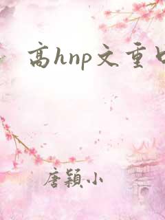 高hnp文重口