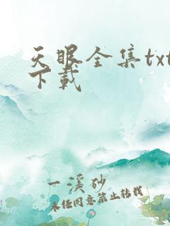 天眼全集txt下载