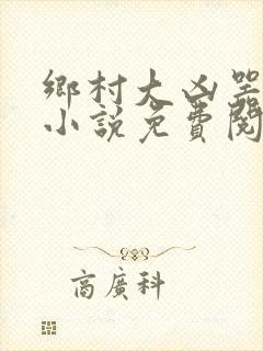 乡村大凶器在线小说免费阅读
