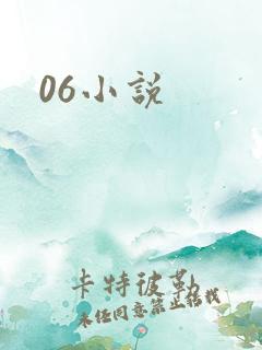 06小说